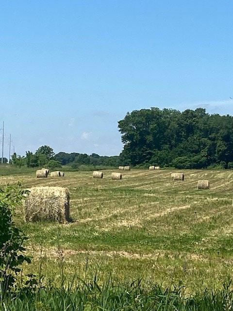 image of farmland